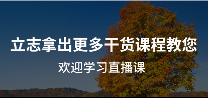 【领风】淘宝运营推广实战班级