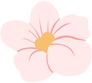 16585396831350.png 2.png